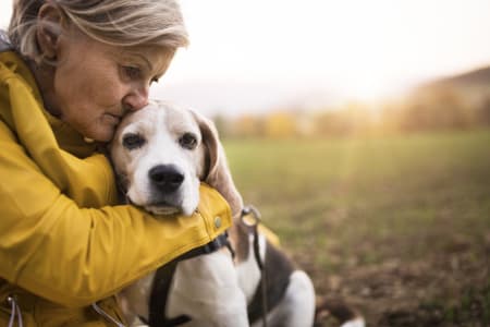 Signs of Bone Cancer in Dogs