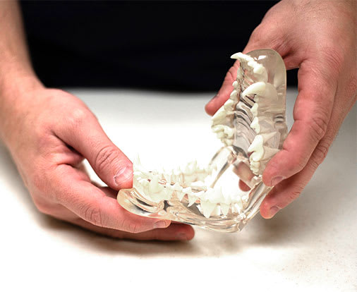 Dental Care for Cats & Dogs | Providence South Animal Hospital | Waxhaw Veterinarian