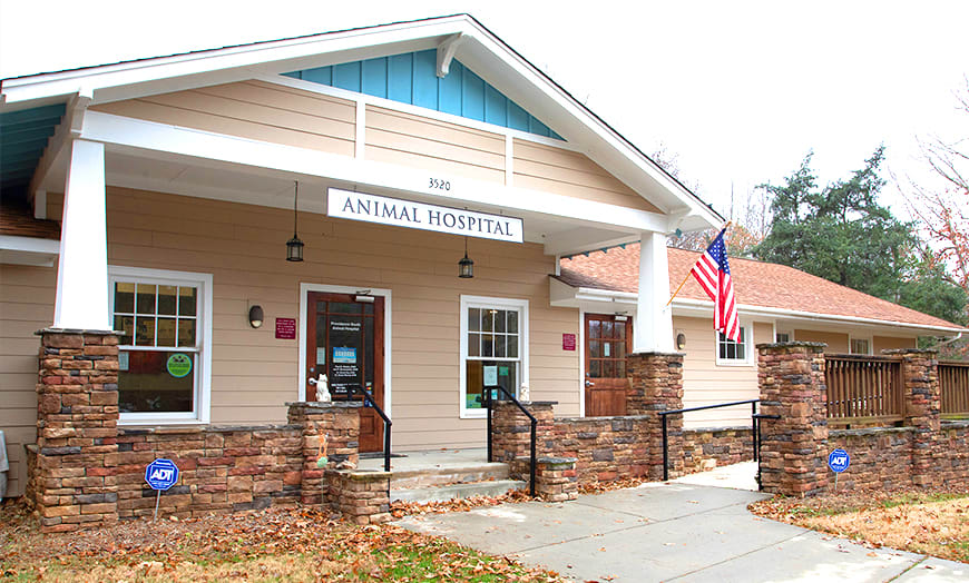 Welcome to Providence South Animal Hospital