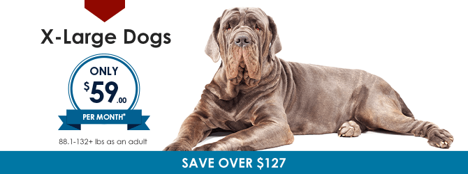 Extra Large Dogs | Providence South Animal Hospital | Waxhaw Veterinarian